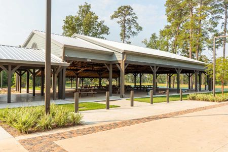 Grand Central Park by Highland Homes in Conroe - image 12