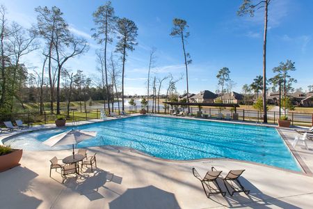 The Meadows at Imperial Oaks 40' - Section 20 by Coventry Homes in Conroe - photo 3 3