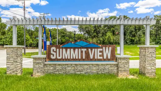 Summit View by D.R. Horton in Dade City - photo 0