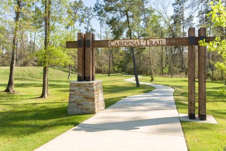 NorthGrove by Westin Homes in Magnolia - photo 13 13