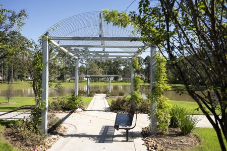 Audubon by Westin Homes in Magnolia - image 9