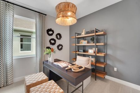 Willowbrook North by Dream Finders Homes in Winter Haven - image 11