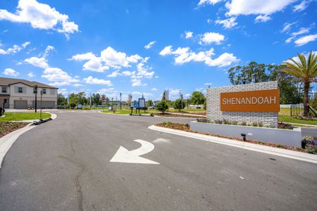 Shenandoah Reserve by Hartizen Homes in Orlando - image 13