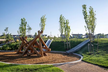 Painted Prairie by Tri Pointe Homes in Aurora - image