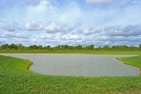 Kendall Lakes by Smith Douglas Homes in Alvin - photo 3 3