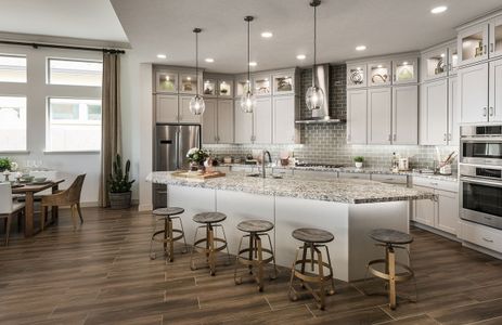 Union Park at Norterra by David Weekley Homes in Phoenix - photo 35 35