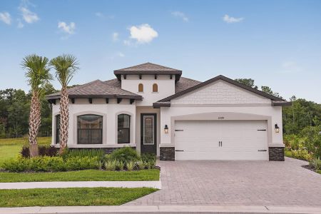 Rose Haven by Vitale Homes in New Port Richey - photo 6 6