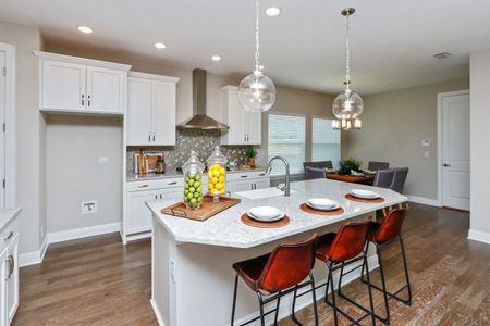 Central Living - St. Petersburg by David Weekley Homes in St. Petersburg - photo 7 7