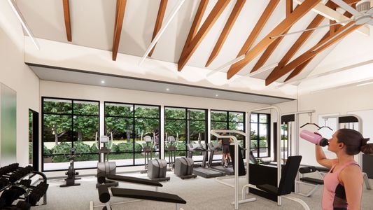 Briarley by David Weekley Homes in Montgomery - image 2