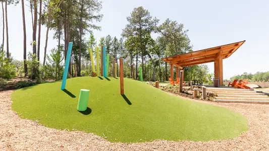 Evergreen 50' by Perry Homes in Conroe - image 3