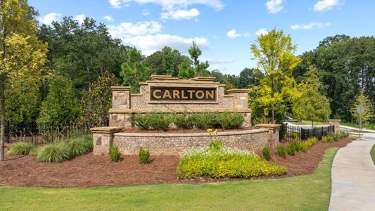 Carlton by D.R. Horton in Douglasville - image