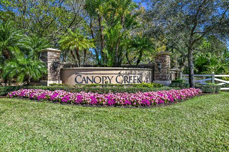 Canopy Creek by Kolter Homes in Palm City - photo 0