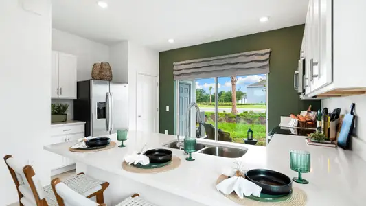 The Towns at Firethorn 5