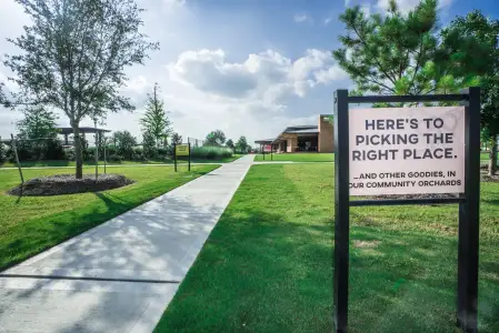 Elyson - Courtyard Collection by Chesmar Homes in Katy - photo 5 5