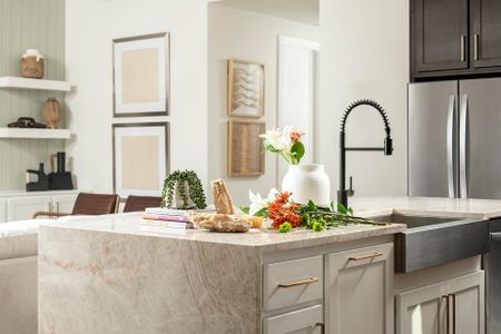 Sauls Ranch East by Coventry Homes in Round Rock - photo 3 3