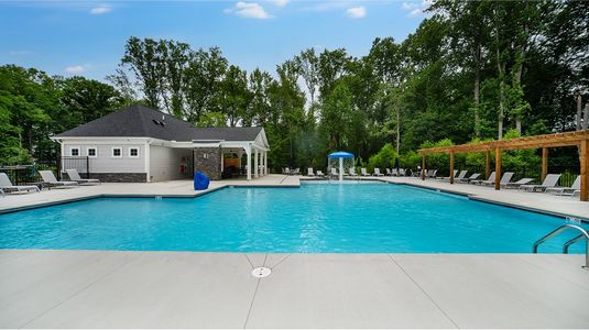 Sherri Downs: Crown Collection 3