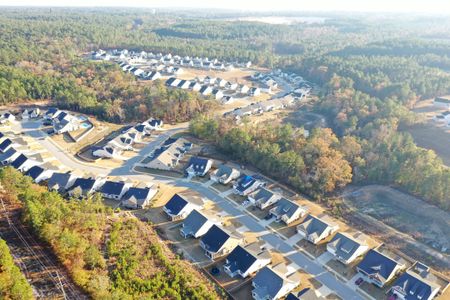 Hitchcock Preserve by Veranda Homes in Aiken - image