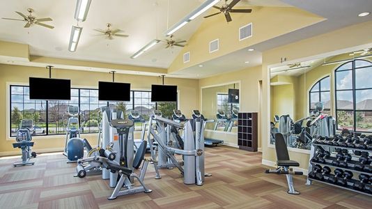 Heritage at Vizcaya Landmark Series - Age 55+ by Taylor Morrison in Round Rock - photo 8 8