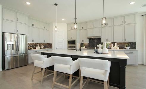 Sunterra by Brightland Homes in Katy - photo 23 23