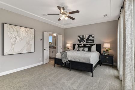 Castle Hills Northpointe - 41s by American Legend Homes in Lewisville - photo 15 15
