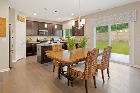 Cherry Glen by Fischer Homes in Euharlee - photo 22 22