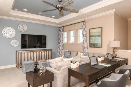 Eave's Bend at Artisan Lakes by Taylor Morrison in Palmetto - photo 56 56