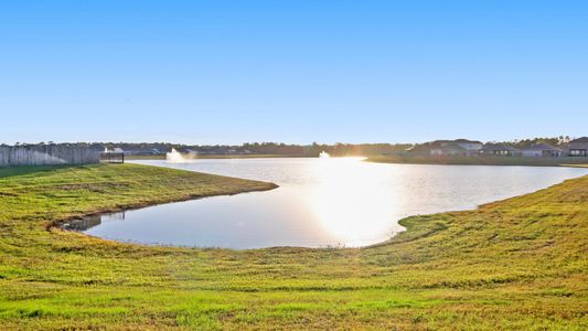 Granger Pines by D.R. Horton in Conroe - image 9