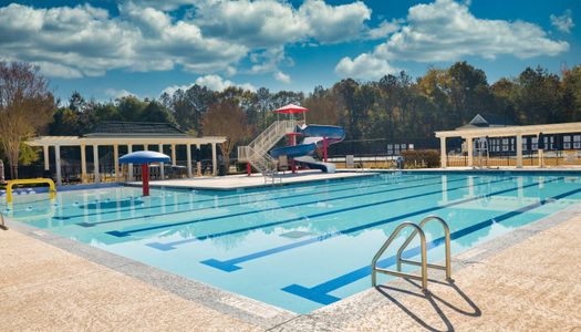 Traditions of Braselton by Stephen Elliott Homes in Jefferson - image 4