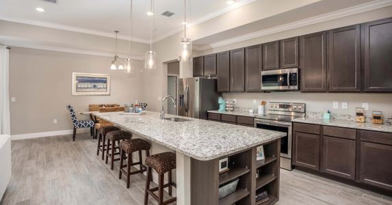 Graceland Estates by Maronda Homes in Thonotosassa - photo 21 21