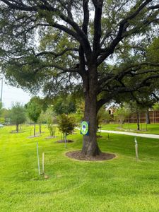 The Preserve on the Park by Cadence Homes in Addison - image 16