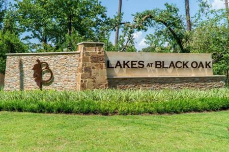 Lakes at Black Oak by Century Communities in Magnolia - photo 17 17