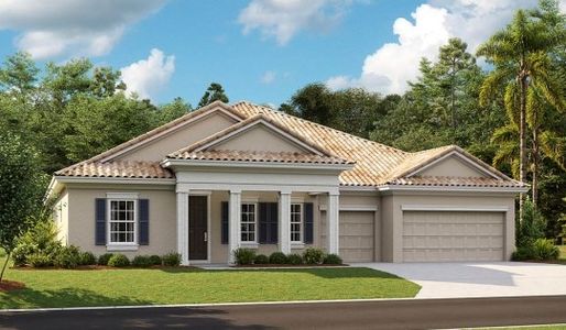 Creek Ridge Preserve by Homes by WestBay in Lithia - image 15