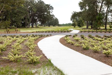 Trailmark Phase 10 by Drees Custom Homes in St. Augustine - photo 9 9