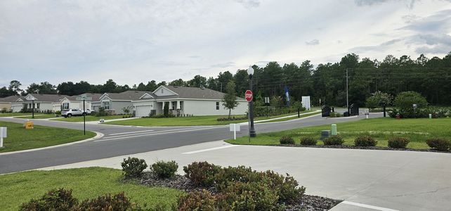 JB Ranch by D.R. Horton in Ocala - photo 18 18