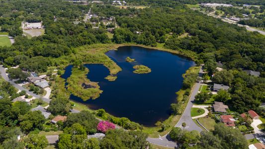 Sorrento & Mount Dora by Maronda Homes in Mount Dora - photo 2 2