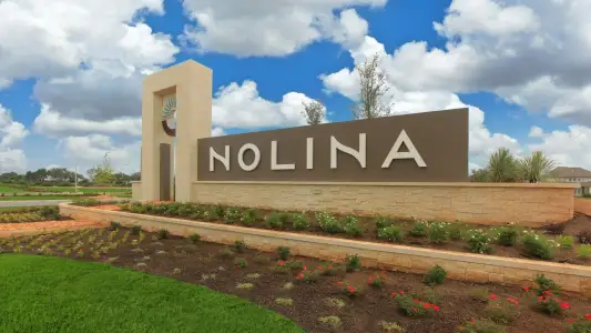Nolina by DRB Homes in Georgetown - image