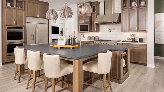 Aloravita South Summit Collection by Taylor Morrison in Peoria - photo 8 8