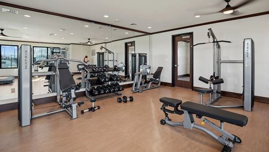 Sierra Vista by Terrata Homes in Iowa Colony - image 7