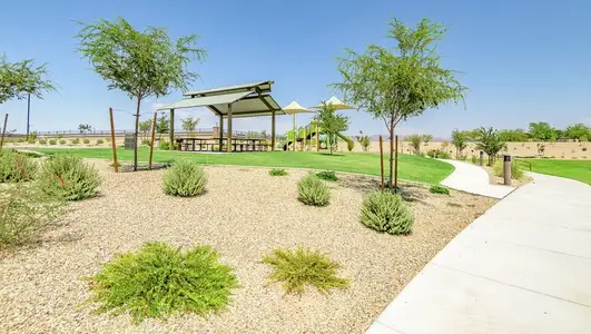 Mayfield by LGI Homes in Buckeye - image