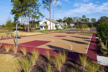 TrailMark by Dream Finders Homes in Saint Augustine - photo 7 7