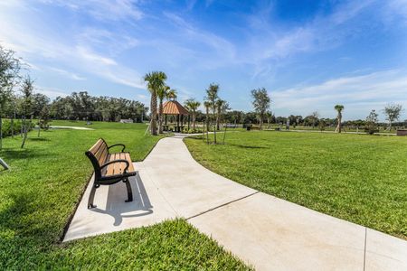 Harmony at Lake Eloise by D.R. Horton in Winter Haven - photo 9 9