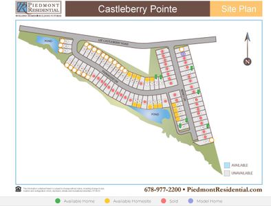 Castleberry Pointe by Piedmont Residential in Dawsonville - photo 24 24