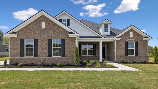 Harvest Point by D.R. Horton in Spring Hill - image