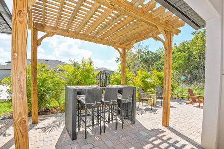 Tea Olive Terrace at the Fairways by William Ryan Homes in Palmetto - photo 10 10