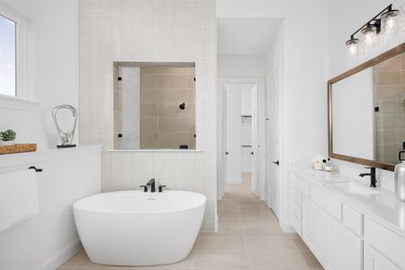 Painted Tree 50' by Coventry Homes in McKinney - image 18