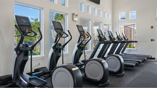 Providence: Classic Collection 19