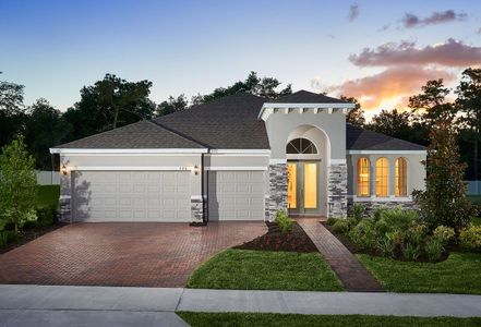 Tamarack at Two Rivers by Park Square Residential in Zephyrhills - image 12