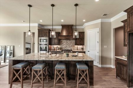 Panther Creek Ranch by Premier Homes Inc. in Aledo - photo 14 14