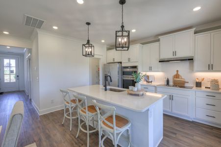 Dorris Farm at Willow Springs by Goodall Homes in White House - image 12
