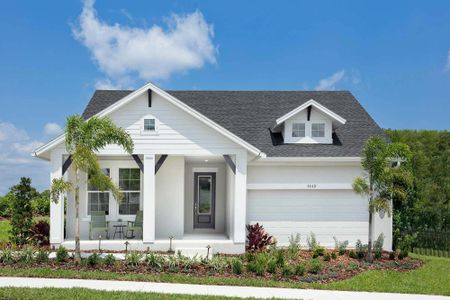 Eagle Creek - Garden Series by David Weekley Homes in Tarpon Springs - photo